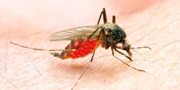 Leia mais sobre o artigo Juiz de Fora é a segunda cidade da região com mais casos de dengue