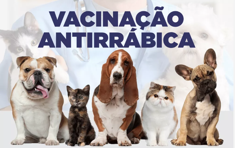Leia mais sobre o artigo Programação da Campanha de Vacinação Antirrábica 2019