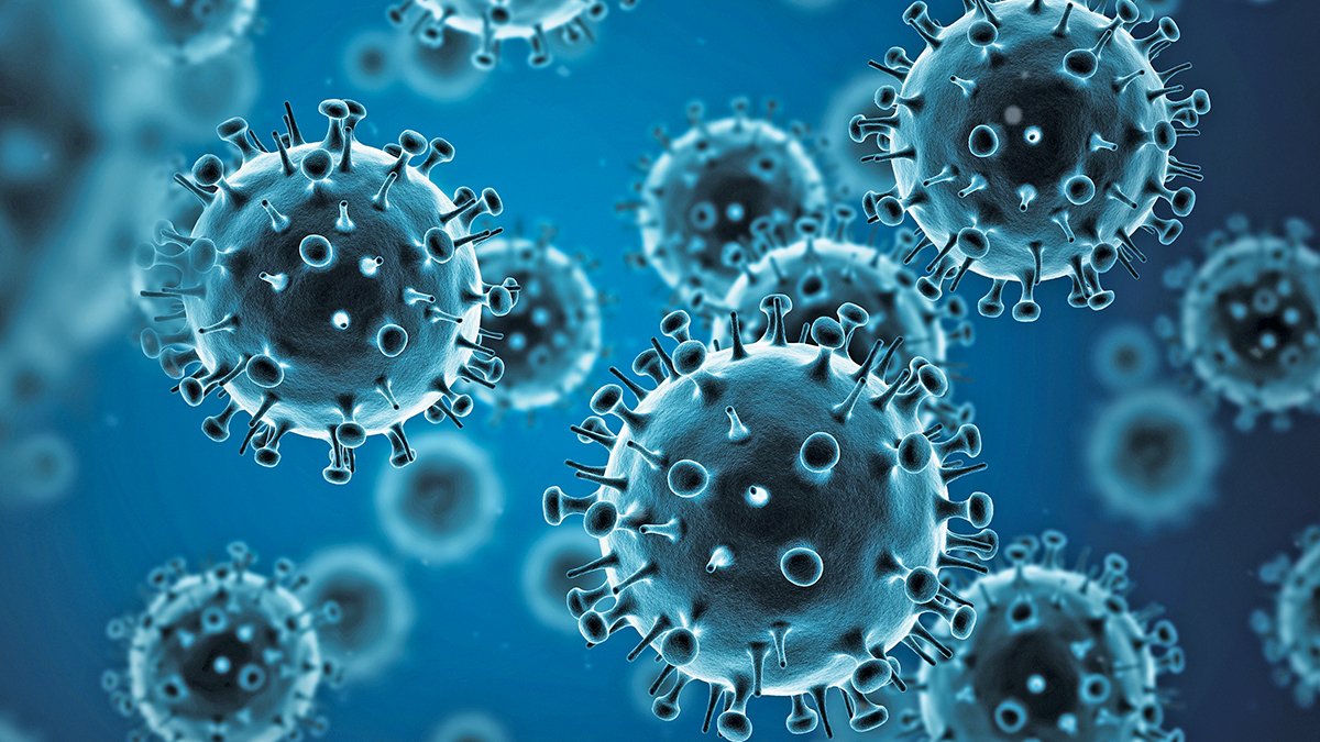 Leia mais sobre o artigo Balanço epidemiológico do município de Bicas