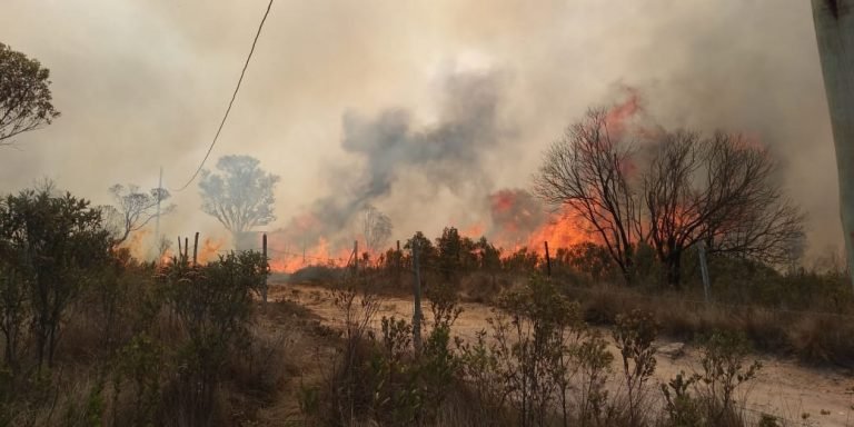 Leia mais sobre o artigo Brigadistas combatem incêndio em Ibitipoca