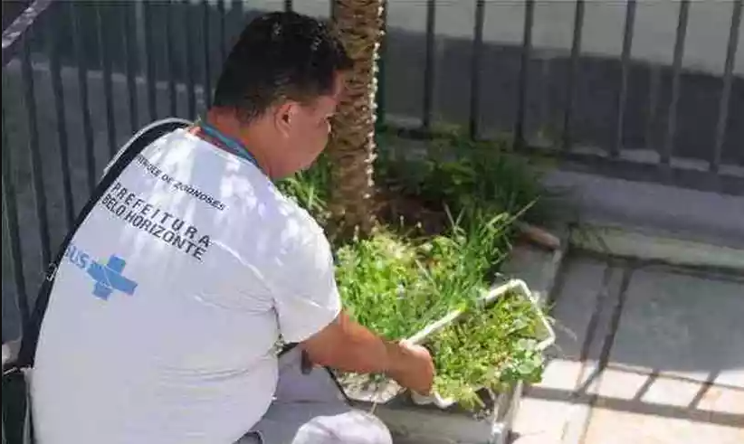 Leia mais sobre o artigo MG tem nova morte por dengue registrada, casos ultrapassam 50 mil