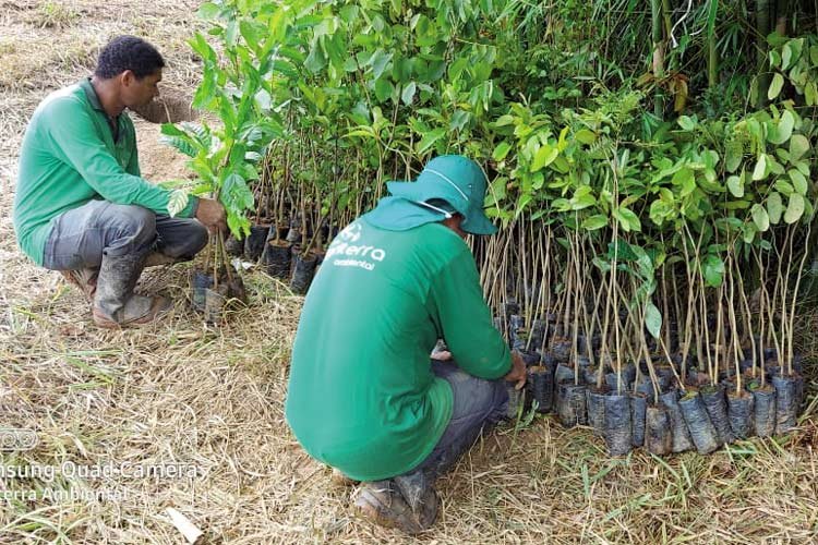 Leia mais sobre o artigo Juiz de Fora recebe mudas de plantas frutíferas e nativas do projeto Conexão Mata Atlântica