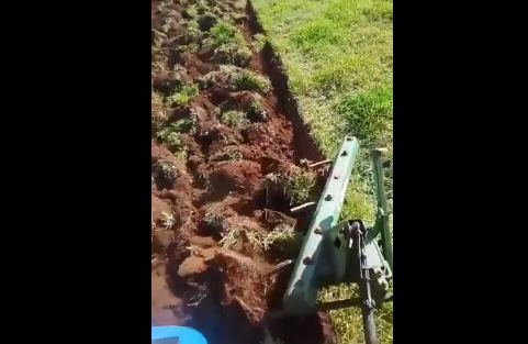 Leia mais sobre o artigo Diretoria de Agropecuária exibe ações realizadas no quadrimestre
