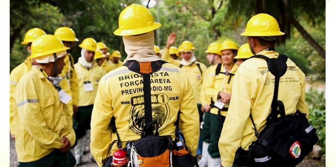 Leia mais sobre o artigo Processo Seletivo / Brigadistas 2022