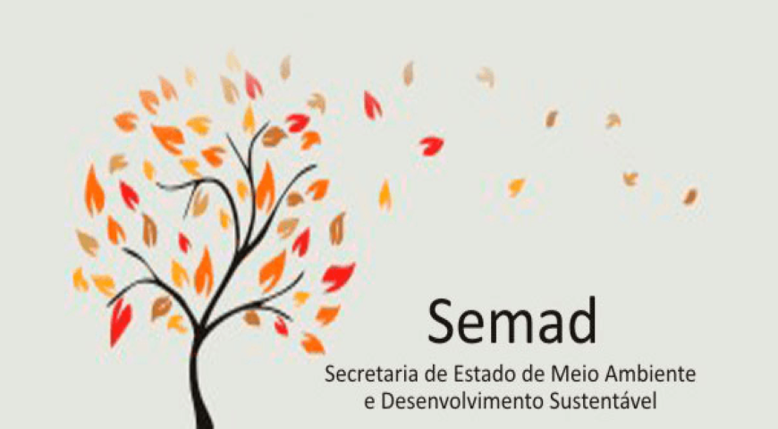 Leia mais sobre o artigo Semad promove curso sobre descentralização do licenciamento ambiental