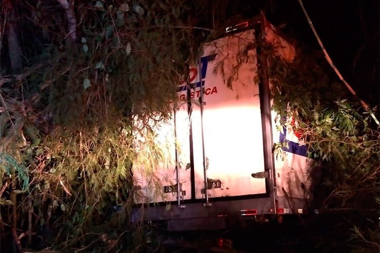 Leia mais sobre o artigo Caminhão cai em abismo e condutor morre