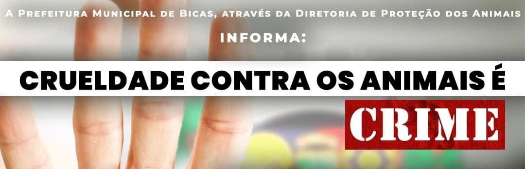 Leia mais sobre o artigo Crime contra os animais
