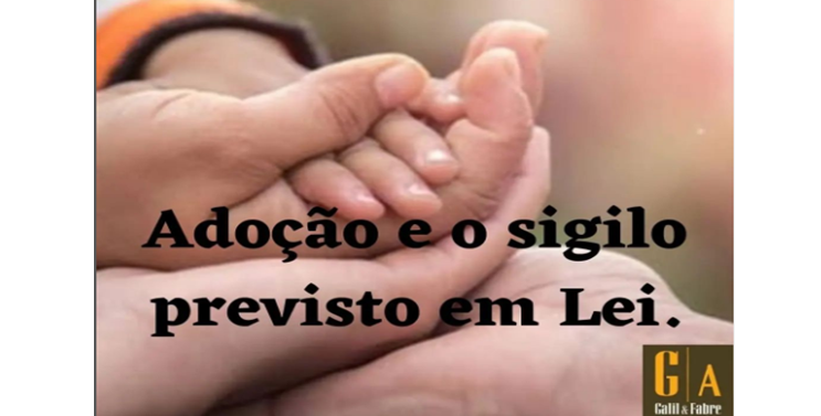 Leia mais sobre o artigo Lei da adoção garante entrega legal do bebê e sigilo para a mãe e a criança