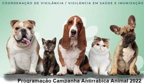 Leia mais sobre o artigo Campanha Antirrábica Animal 2022 / Programação