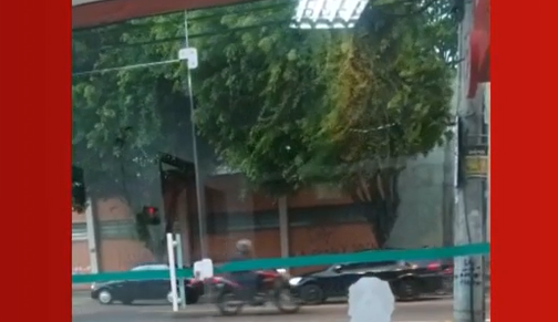 Leia mais sobre o artigo VÍDEO: árvore cai em cima de motociclista durante ventania em Juiz de Fora