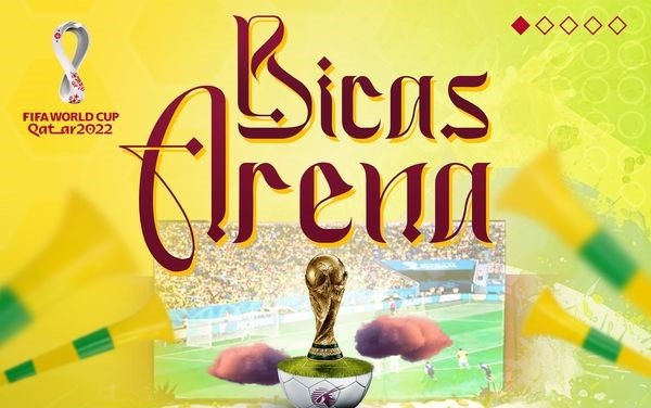 Leia mais sobre o artigo Bicas Arena / Brasil e Camarões
