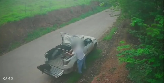 Leia mais sobre o artigo VÍDEO: motorista agride e abandona cachorros no interior de MG