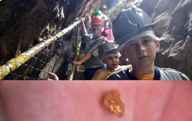 Leia mais sobre o artigo Aluno de 12 anos encontra pepita de ouro em excursão escolar em mina desativada em MG