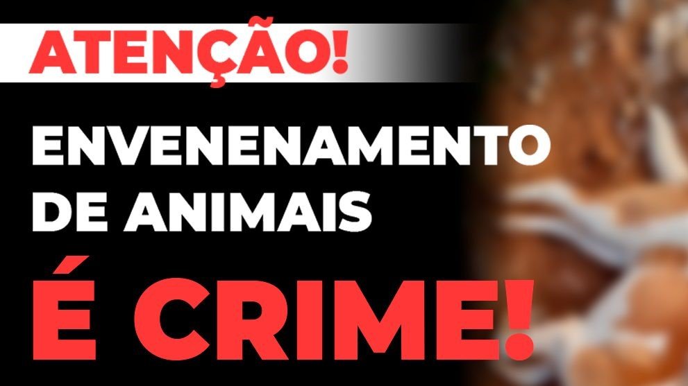 Leia mais sobre o artigo Envenenamento de Animais é Crime!