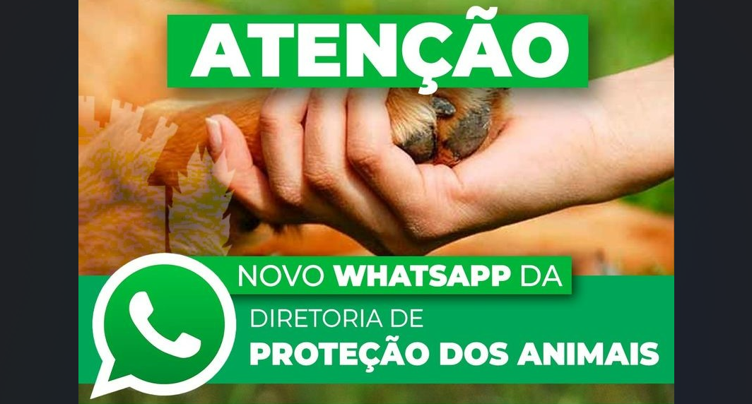 Leia mais sobre o artigo Novo WhatsApp da Diretoria dos Animais