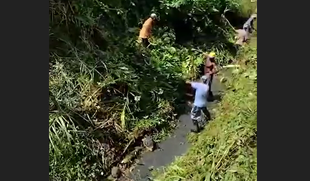 Leia mais sobre o artigo Registros recentes de limpeza e manutenção do Córrego São José de Bicas