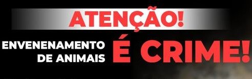 Leia mais sobre o artigo Atenção: envenenamento de animais é crime!