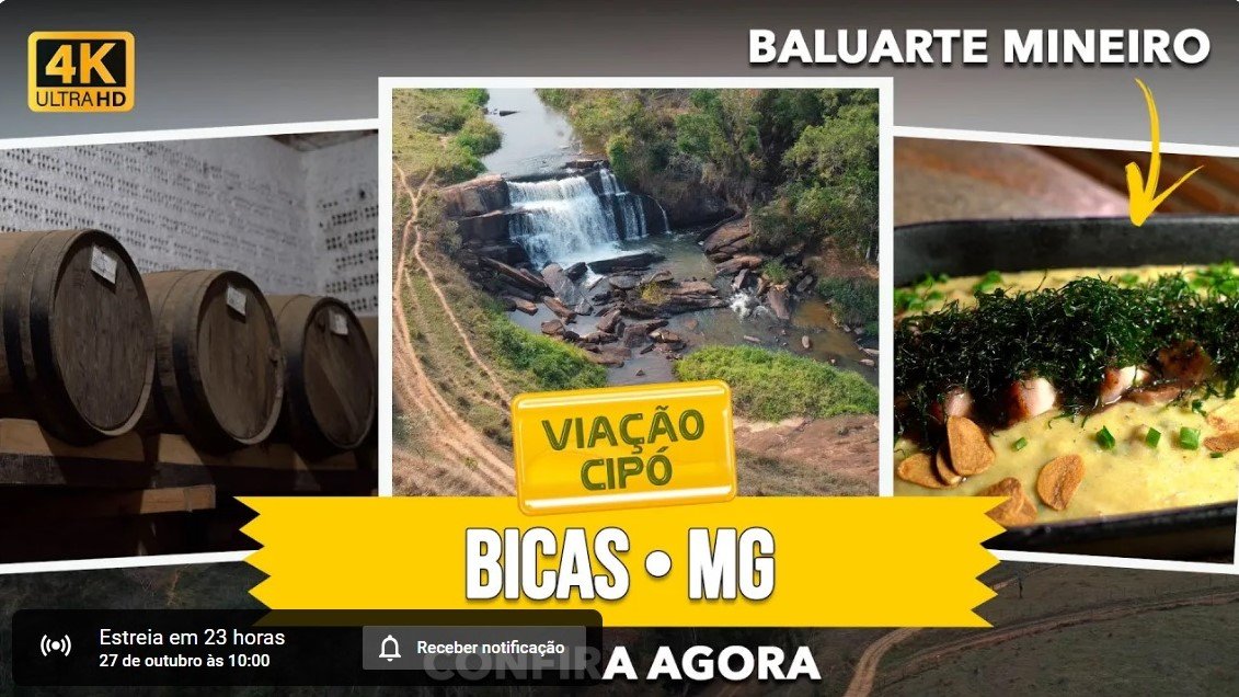 Leia mais sobre o artigo BICAS: PRECIOSIDADE na ZONA da MATA MINEIRA!! | A Viação Cipó te conta tudo!