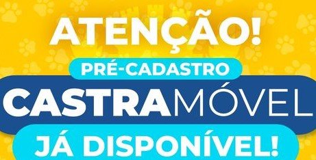 Leia mais sobre o artigo Mutirão de castrações de felinos e caninos