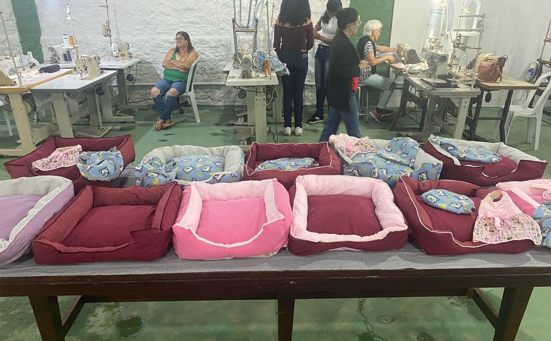 Leia mais sobre o artigo Prefeitura de Bicas | Conclusão do Curso de Moda Pet