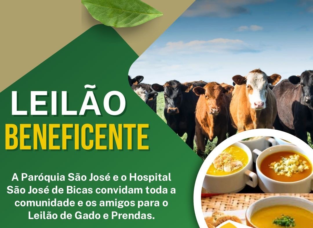 Leia mais sobre o artigo Leilão Beneficente | Prendas e Gados