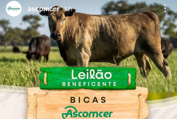 Leia mais sobre o artigo Bicas – Leilão beneficente – Ascomcer